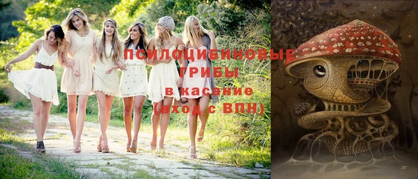 мяу мяу мука Алзамай