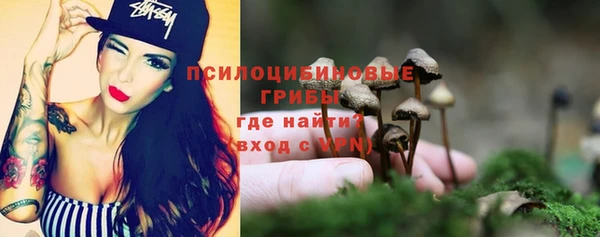 мескалин Алексин